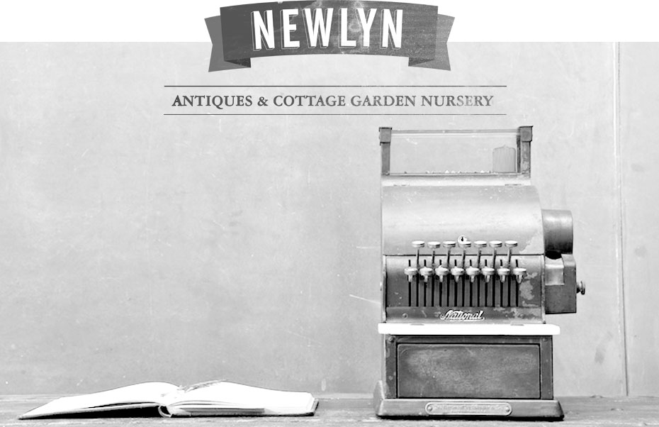 Newlyn - Antiqiues & Cottage Garden Nursery